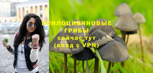 марихуана Абаза
