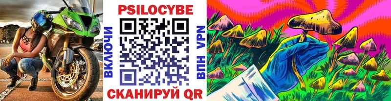 мега ссылка Орск Галлюциногенные грибы Cubensis