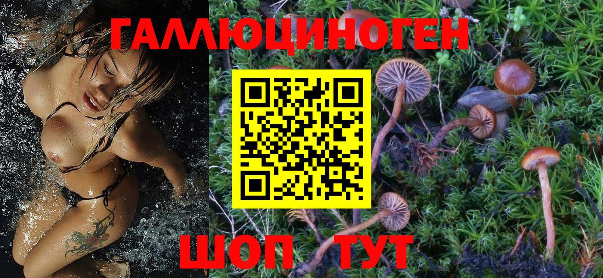 Галлюциногенные грибы мухоморы Орск