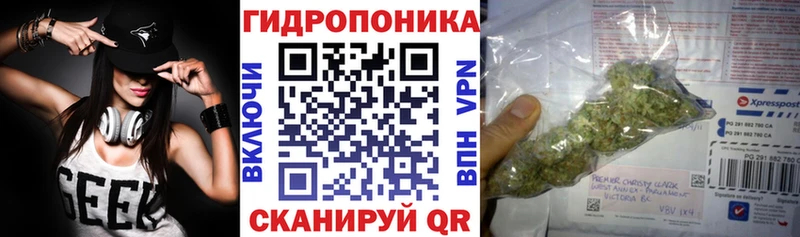 купить наркоту  Орск  мега зеркало  Каннабис OG Kush 